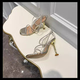 Temperament High Heel Sandals Women's 2025 New Summer Wears Roman Dress With Fine Heel Tip Sexy High Heels HZ0107